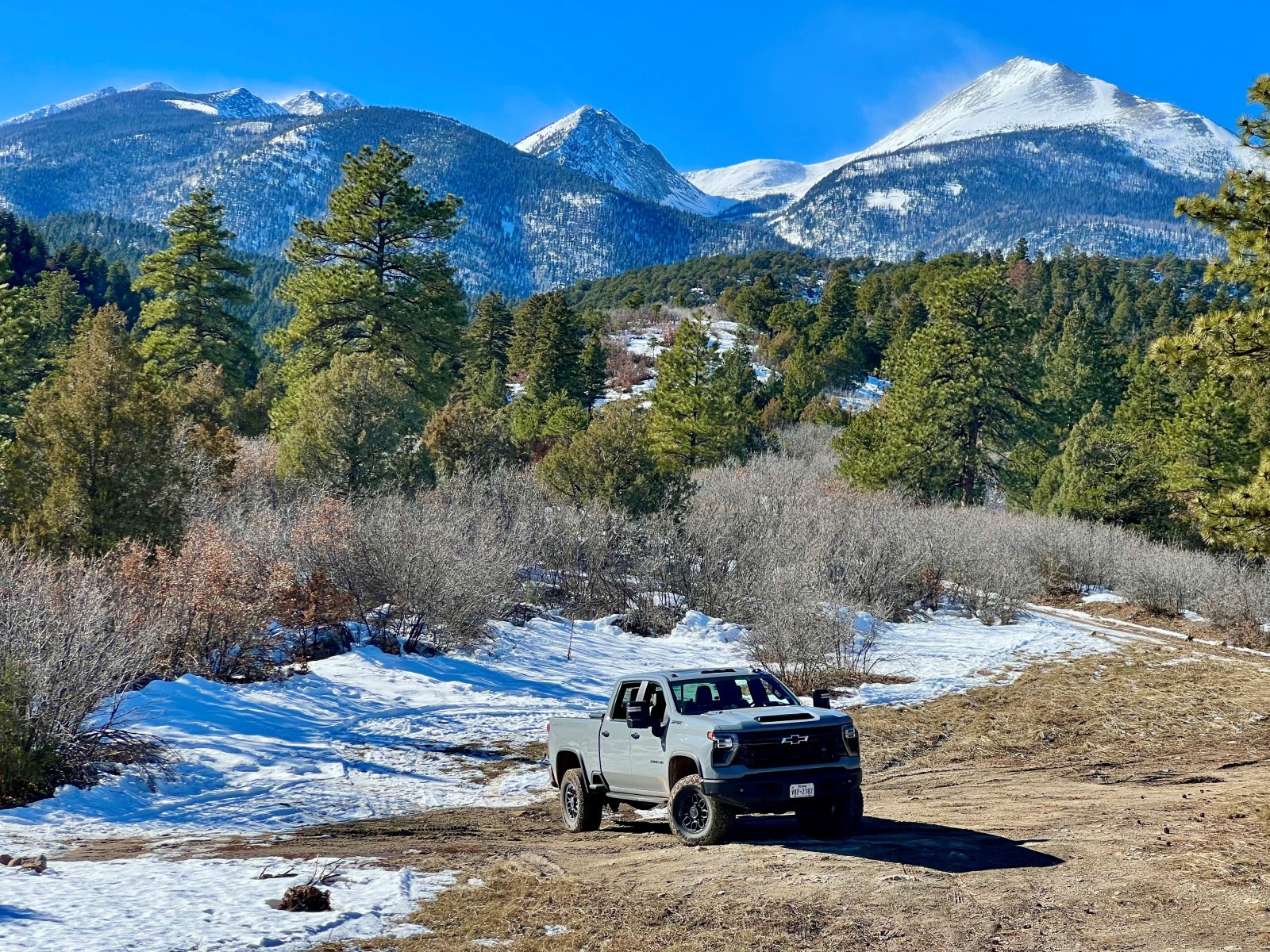 bison mountains.jpg